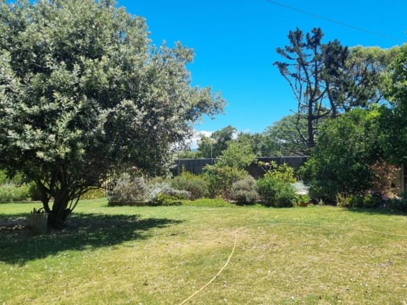 Shepard, Pinelands