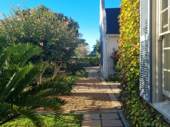 ChaCha, Pinelands