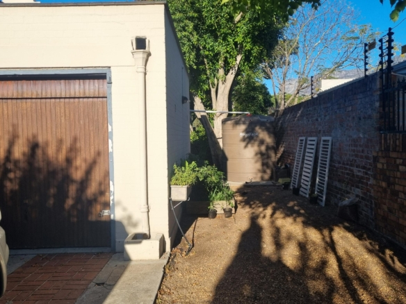 ChaCha, Pinelands