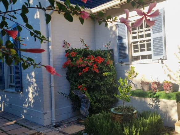 ChaCha, Pinelands