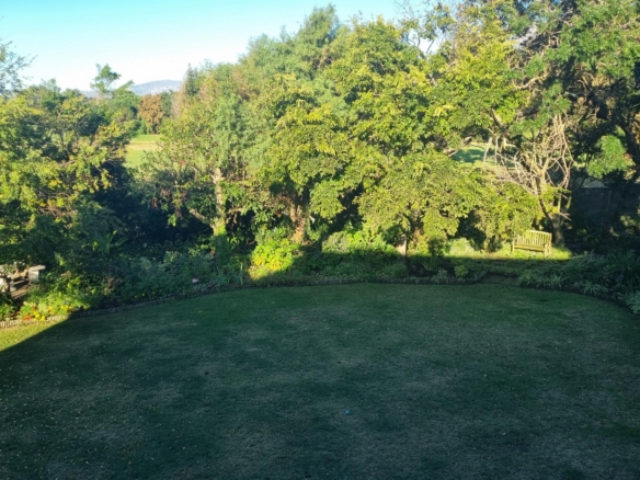ChaCha, Pinelands
