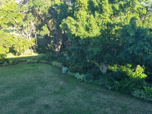 ChaCha, Pinelands