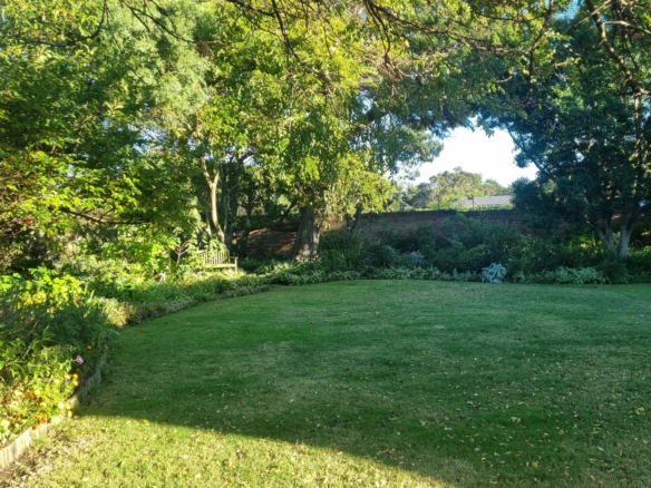 ChaCha, Pinelands