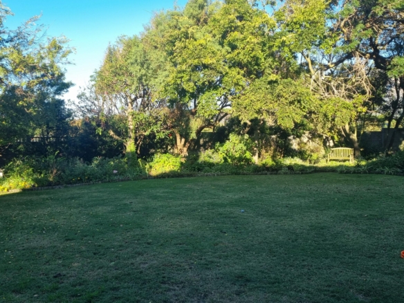 ChaCha, Pinelands
