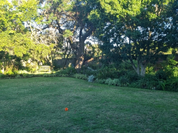 ChaCha, Pinelands