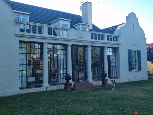 ChaCha, Pinelands