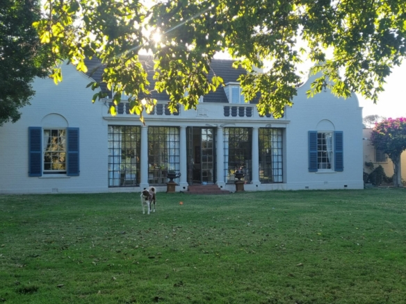 ChaCha, Pinelands