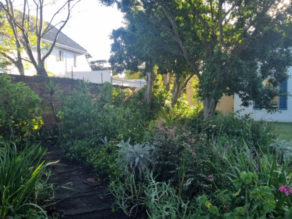 ChaCha, Pinelands