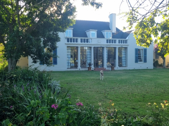 ChaCha, Pinelands