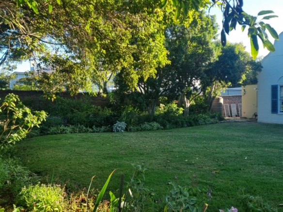 ChaCha, Pinelands