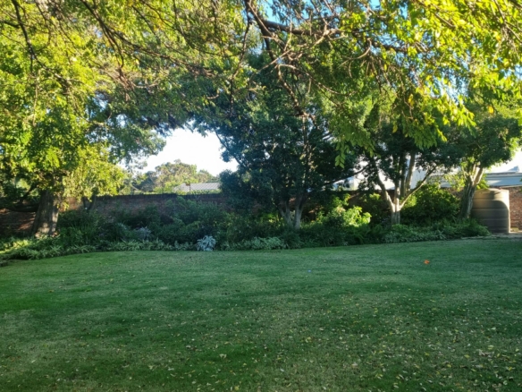 ChaCha, Pinelands