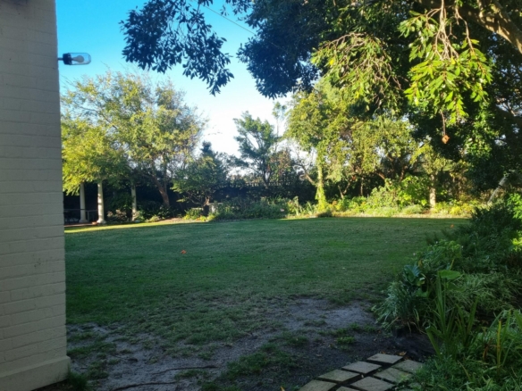 ChaCha, Pinelands