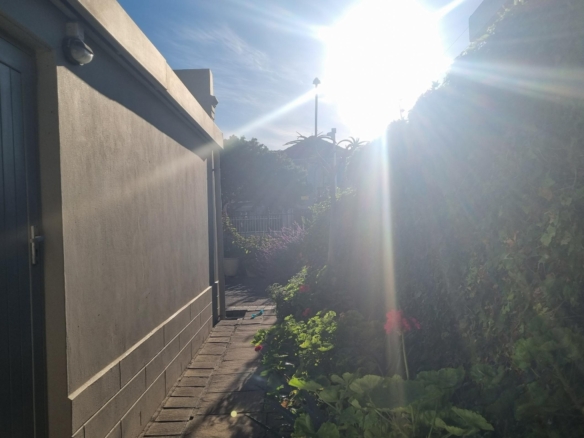 ChaCha, Pinelands