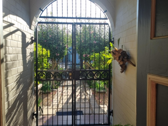 ChaCha, Pinelands