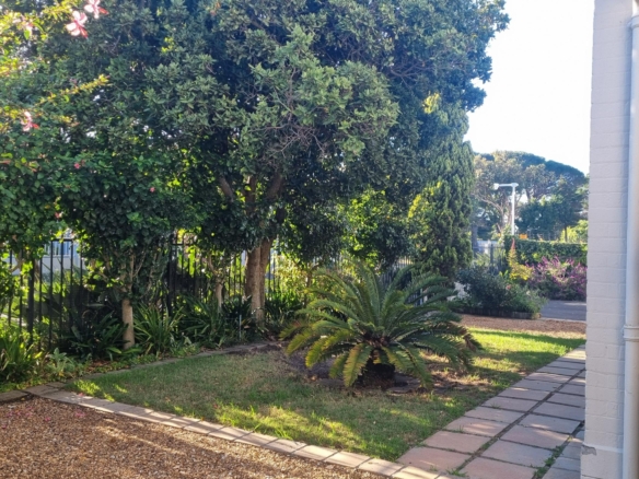 ChaCha, Pinelands