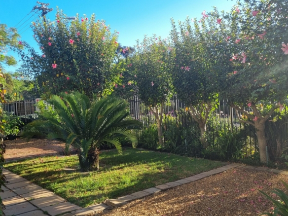 ChaCha, Pinelands
