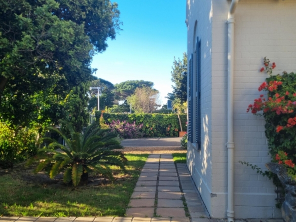 ChaCha, Pinelands