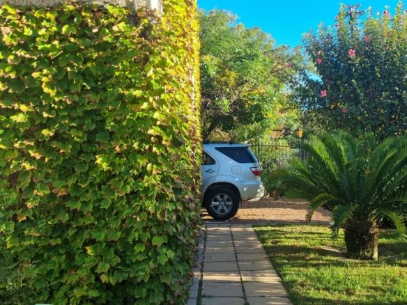ChaCha, Pinelands