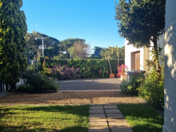 ChaCha, Pinelands