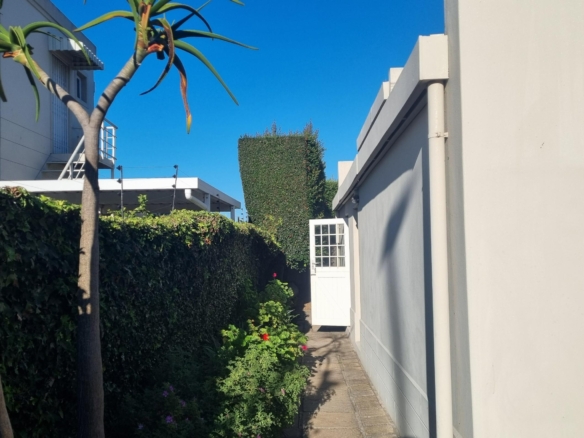 ChaCha, Pinelands