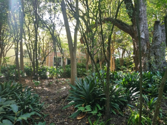DeRust, Hout Bay