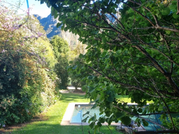 DeRust, Hout Bay
