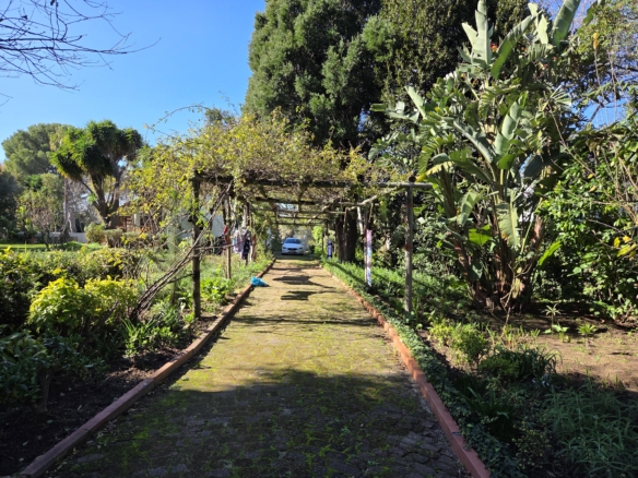 Dean, Constantia