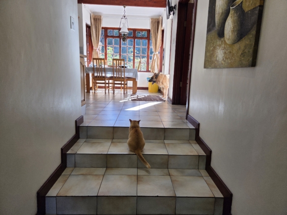 Dean, Constantia