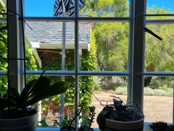 Trojan, Constantia