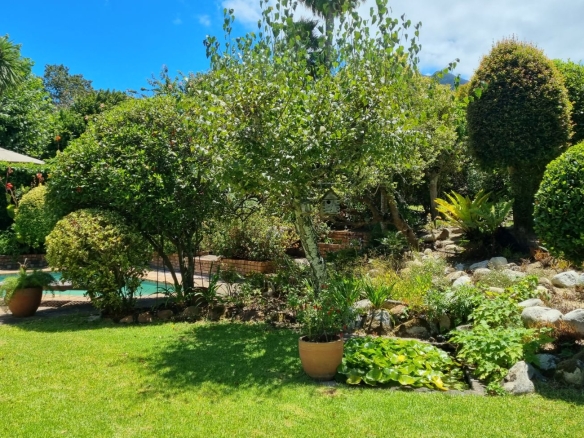 Trojan, Constantia
