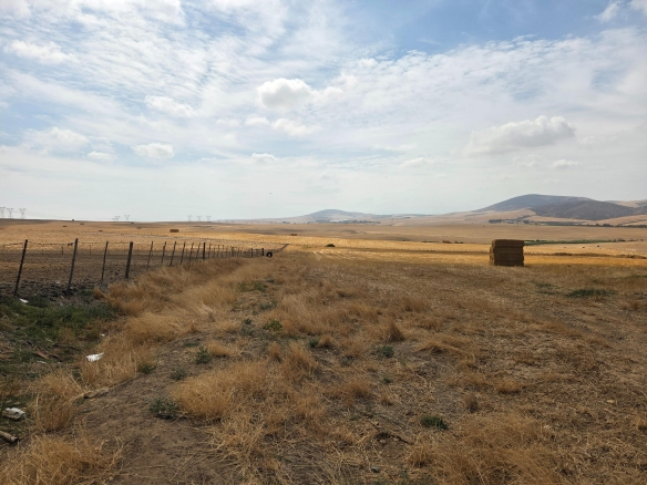Olifants Oog, Cape Farms