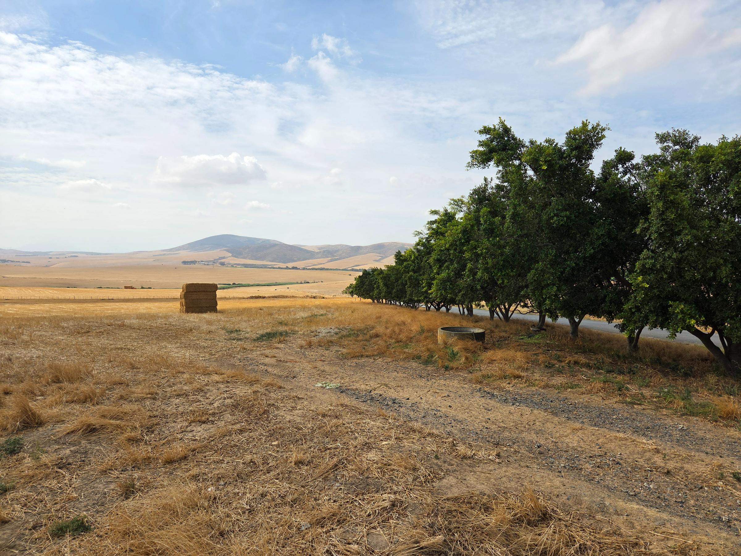 Olifants Oog, Cape Farms