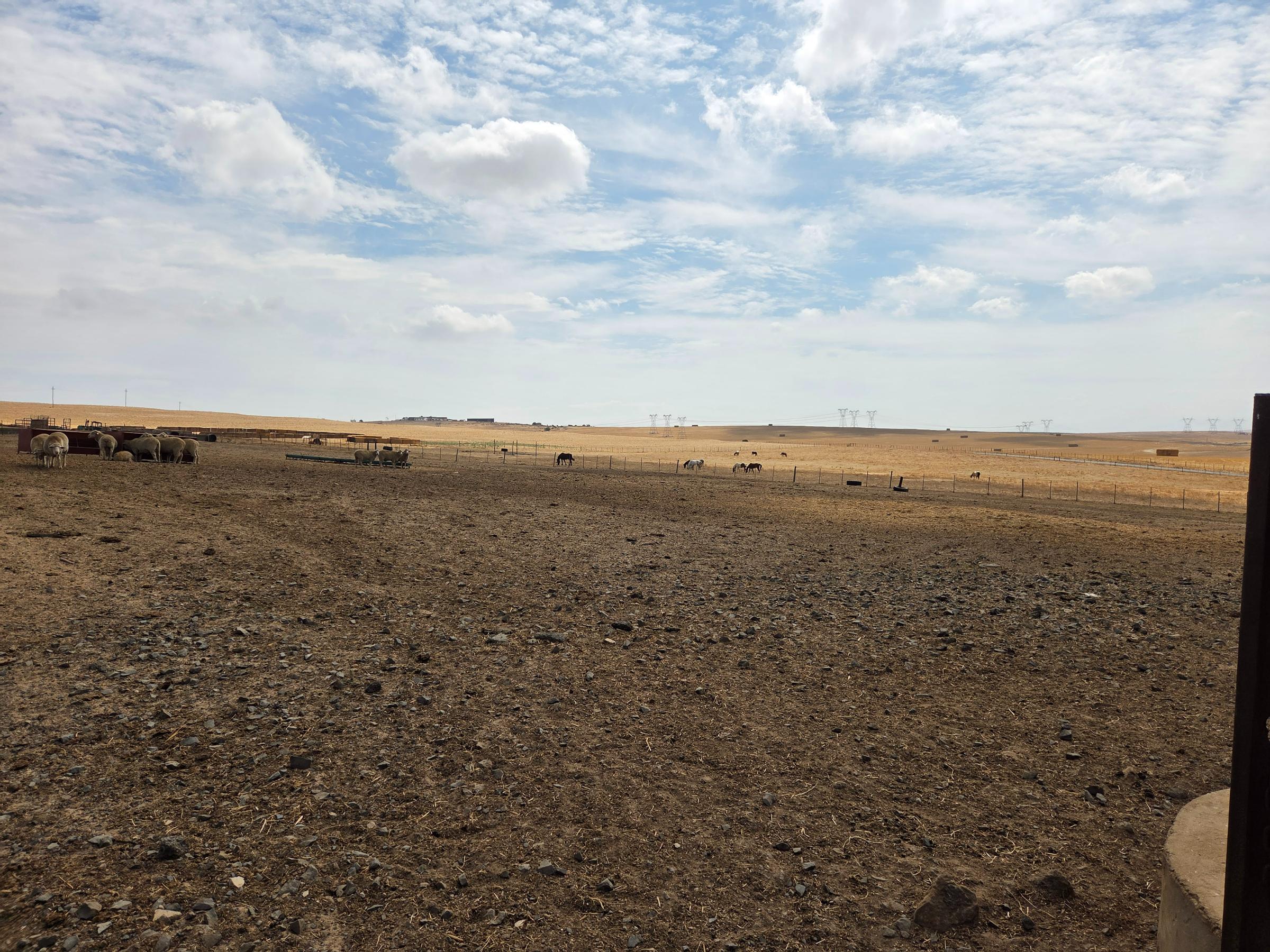 Olifants Oog, Cape Farms