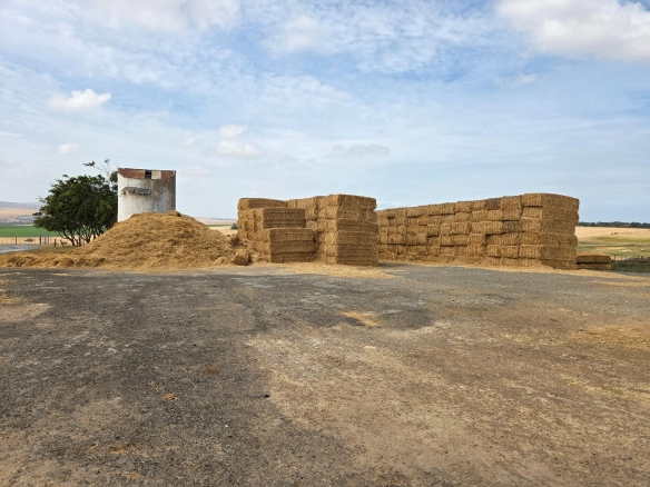 Olifants Oog, Cape Farms