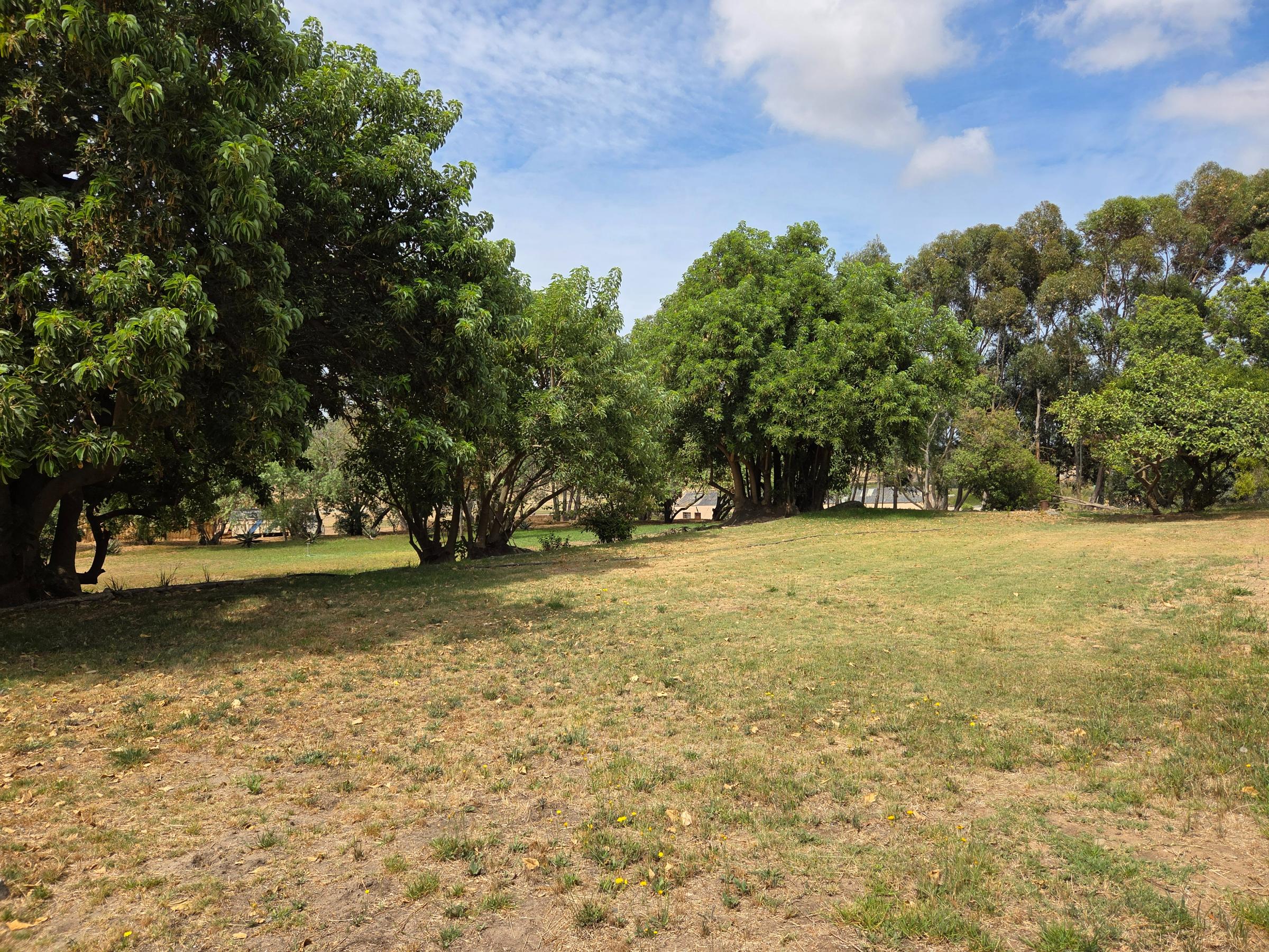 Olifants Oog, Cape Farms