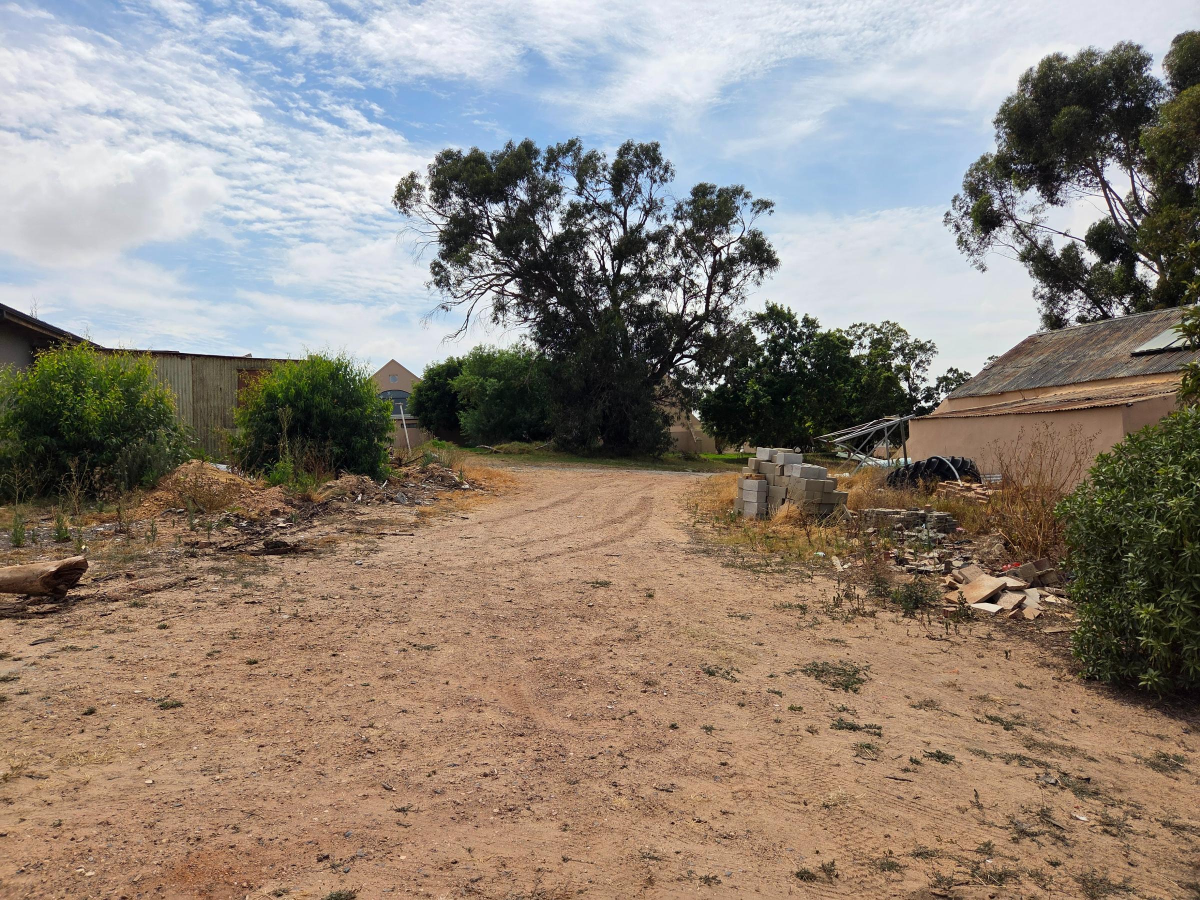 Olifants Oog, Cape Farms