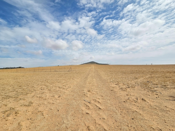 Olifants Oog, Cape Farms