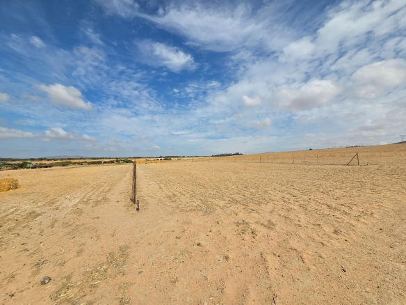 Olifants Oog, Cape Farms
