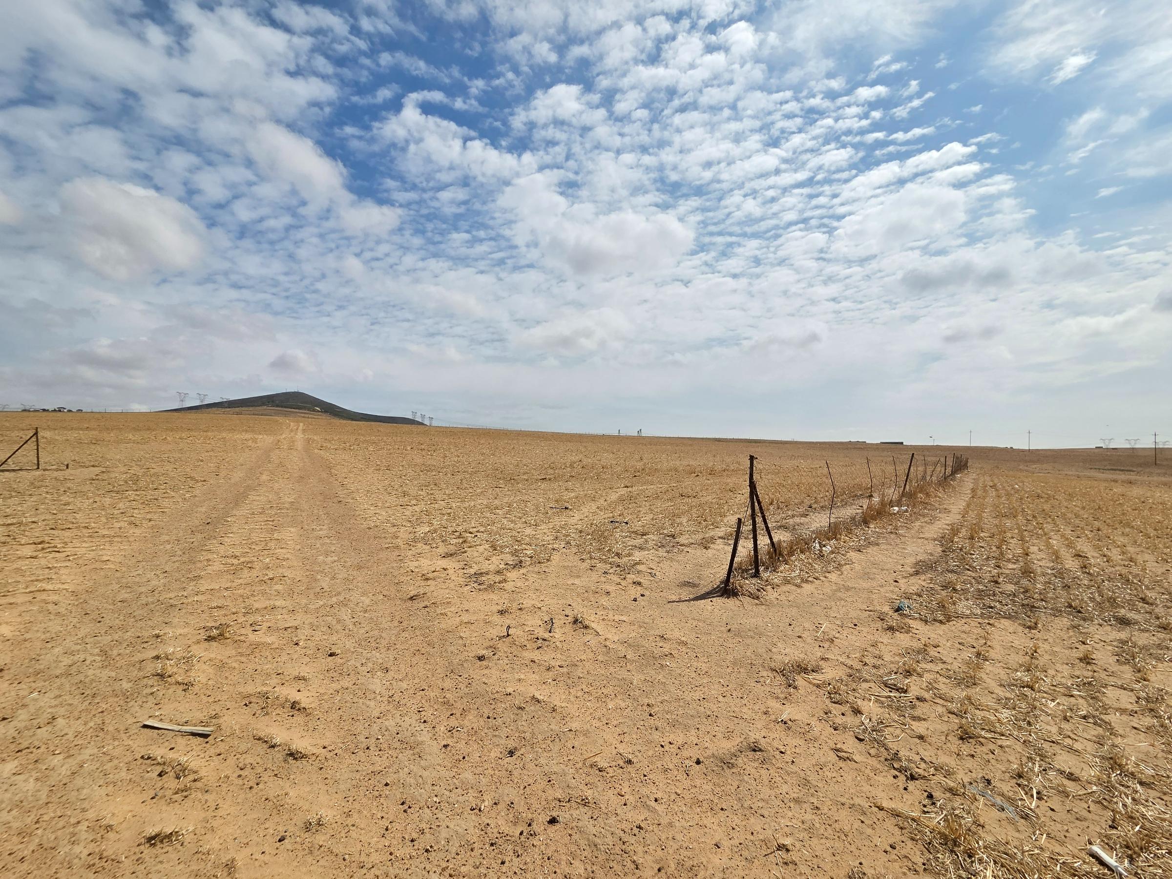 Olifants Oog, Cape Farms