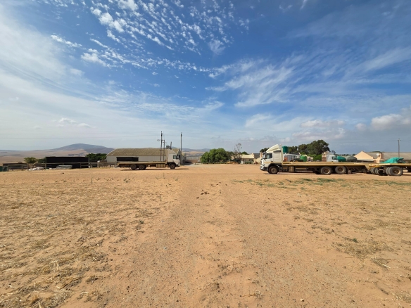 Olifants Oog, Cape Farms