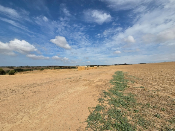 Olifants Oog, Cape Farms