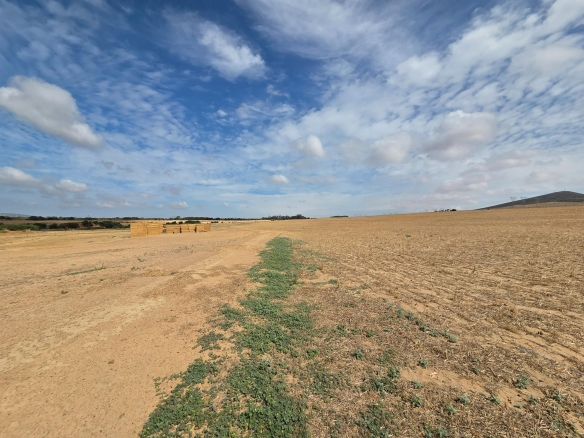 Olifants Oog, Cape Farms