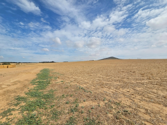 Olifants Oog, Cape Farms