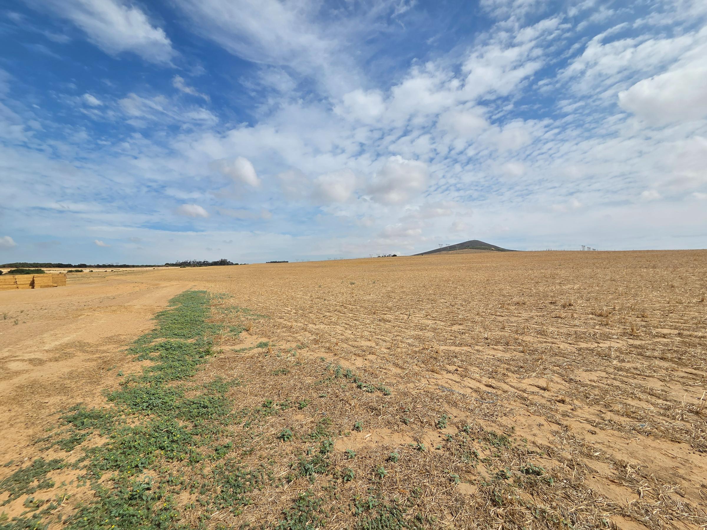 Olifants Oog, Cape Farms