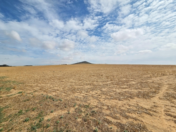 Olifants Oog, Cape Farms