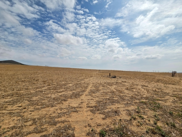 Olifants Oog, Cape Farms