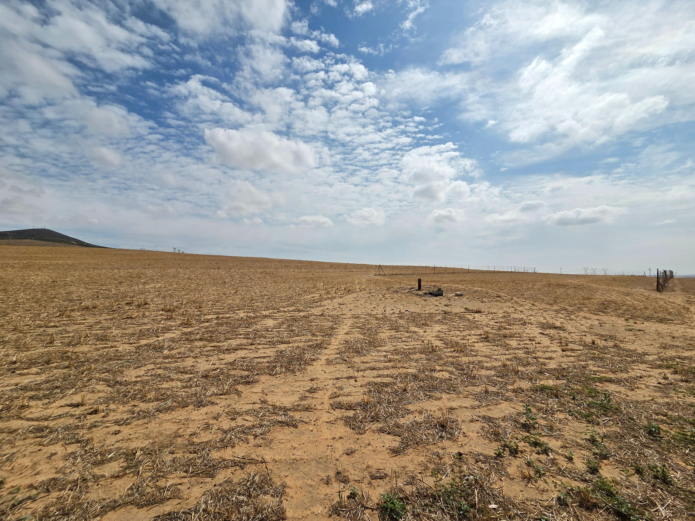 Olifants Oog, Cape Farms