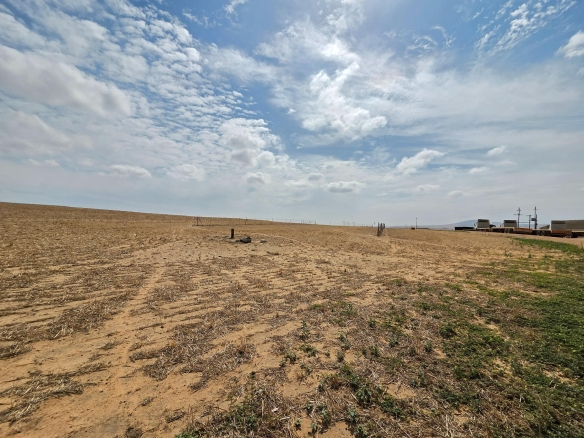Olifants Oog, Cape Farms
