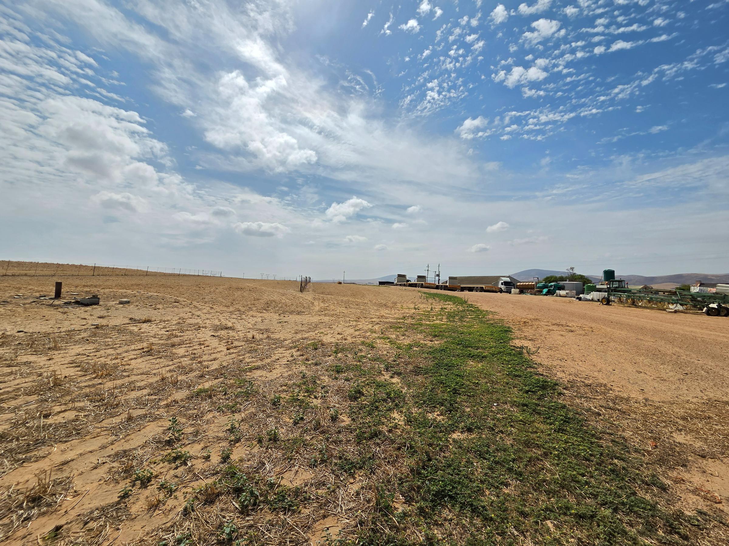 Olifants Oog, Cape Farms