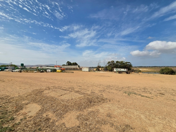 Olifants Oog, Cape Farms